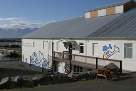 Hvalasafnid